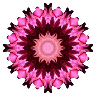 Beyaz arka plan üzerinde izole çiçek mandala