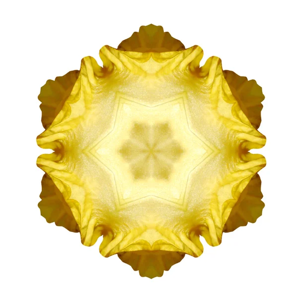 Mandala flor isolada no fundo branco — Fotografia de Stock