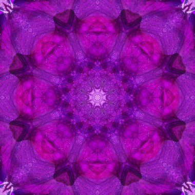 Konsantrik çiçek Merkezi makro yakın çekim. Mandala farklı renk seçenekleri sunan tasarım