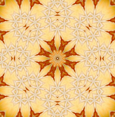 Konsantrik çiçek Merkezi makro yakın çekim. Mandala farklı renk seçenekleri sunan tasarım