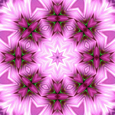 Konsantrik çiçek Merkezi makro yakın çekim. Mandala farklı renk seçenekleri sunan tasarım