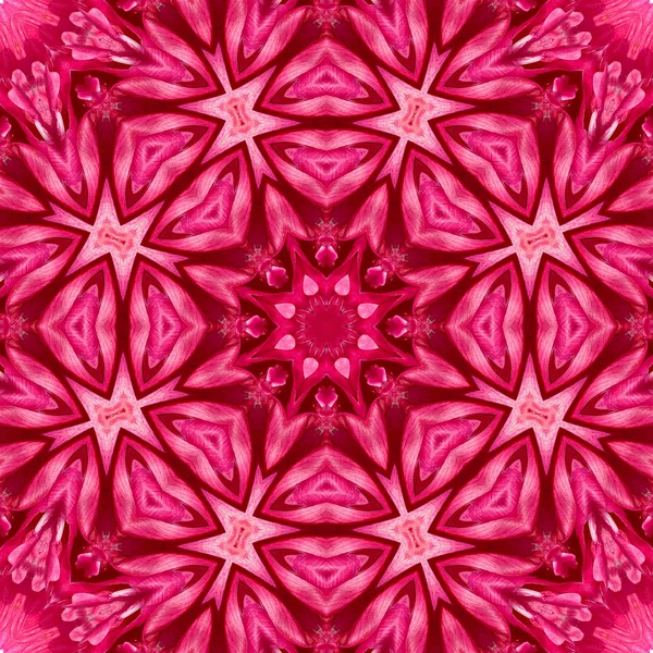 Konsantrik çiçek Merkezi makro yakın çekim. Mandala farklı renk seçenekleri sunan tasarım