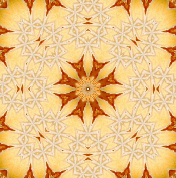 Concentric Flower Center Macro Close-up. Mandala Kaleidoscopic design — Stock Photo, Image