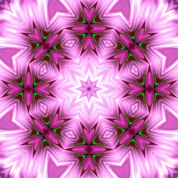ศูนย์ดอกไม้ตรงกลาง แมคโคร ใกล้ๆ แมนดาลา Kaleidoscopic ออกแบบ — ภาพถ่ายสต็อก