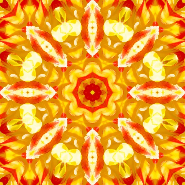 Koncentriska blomma Center makro närbild. Mandala kalejdoskopisk design — Stockfoto