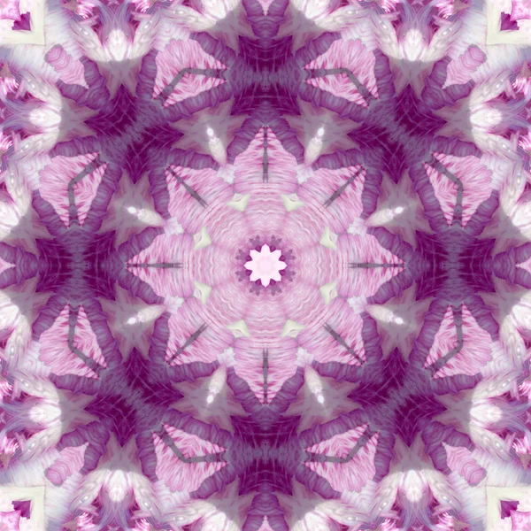 ศูนย์ดอกไม้ตรงกลาง แมคโคร ใกล้ๆ แมนดาลา Kaleidoscopic ออกแบบ — ภาพถ่ายสต็อก