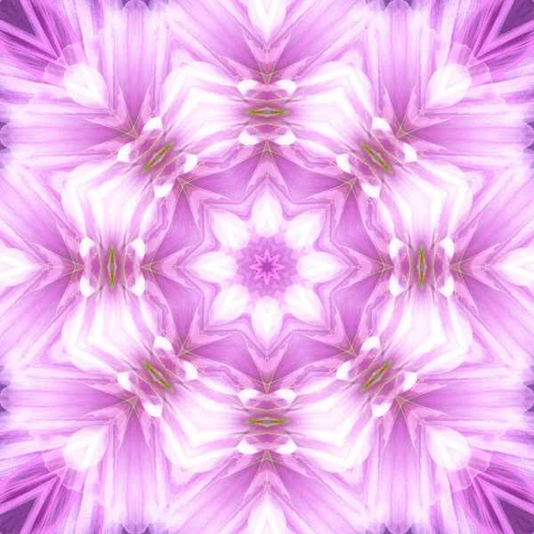 Concentric Flower Center Macro Close-up. Mandala Kaleidoscopic design — Stock Photo, Image