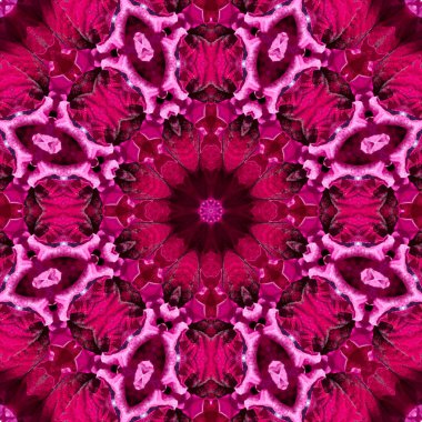 Konsantrik çiçek Merkezi makro yakın çekim. Mandala farklı renk seçenekleri sunan tasarım