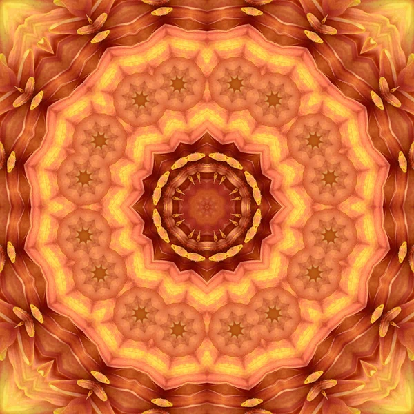 Centro de flores concéntrico Macro Close-up. Diseño caleidoscópico Mandala — Foto de Stock