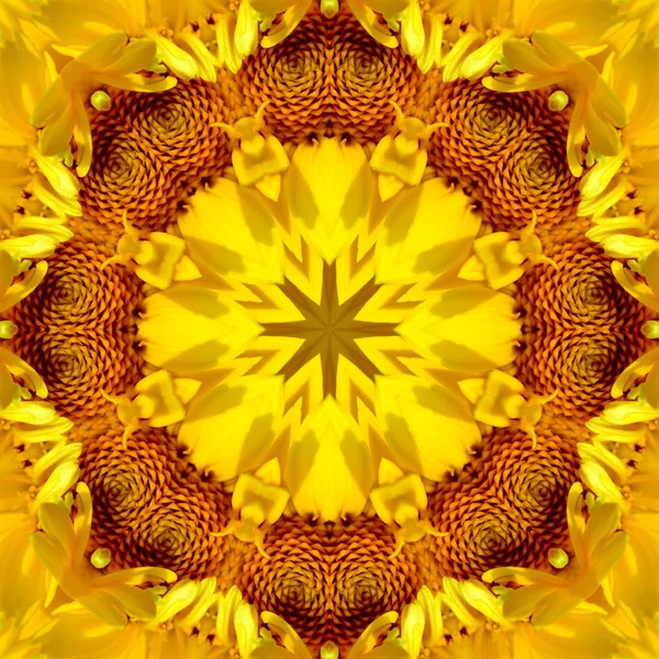 Concentric Flower Center Macro Close-up. Mandala Kaleidoscopic design — Stock Photo, Image