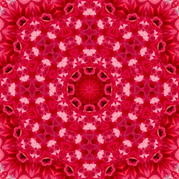 Centro de flores concéntrico Macro Close-up. Diseño caleidoscópico Mandala —  Fotos de Stock