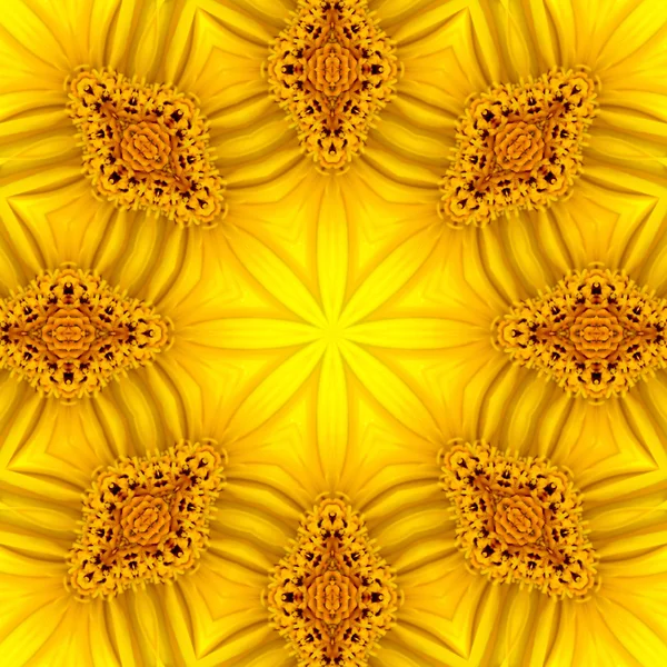 Koncentriska blomma Center makro närbild. Mandala kalejdoskopisk design — Stockfoto