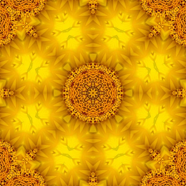 Koncentriska blomma Center makro närbild. Mandala kalejdoskopisk design — Stockfoto