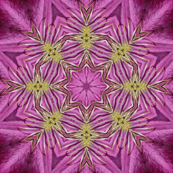 Concentric Flower Center Macro Close-up. Mandala Projeto caleidoscópico — Fotografia de Stock