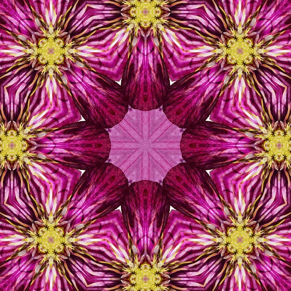 Κέντρο ομόκεντρων κύκλων λουλούδι μακρο Close-up. Μάνταλα καλειδοσκοπικό σχέδιο — Φωτογραφία Αρχείου