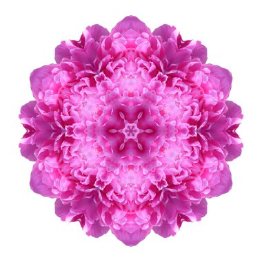 Beyaz arka plan üzerinde izole çiçek mandala