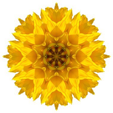 Beyaz arka plan üzerinde izole çiçek mandala