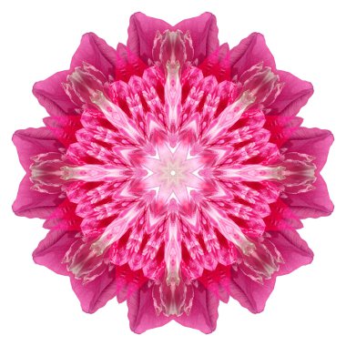 Beyaz arka plan üzerinde izole çiçek mandala