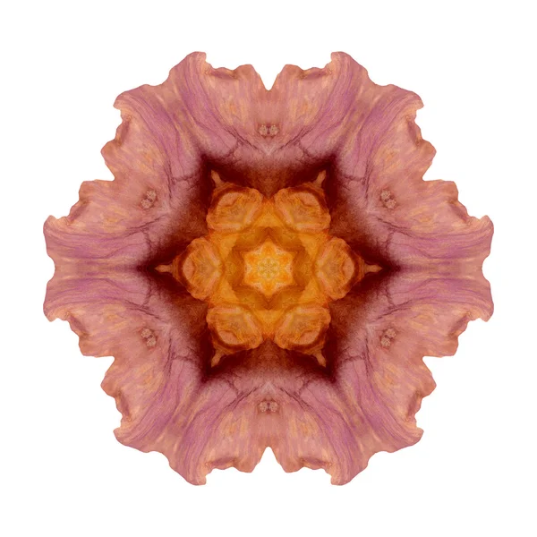 Mandala flor aislada sobre fondo blanco — Foto de Stock