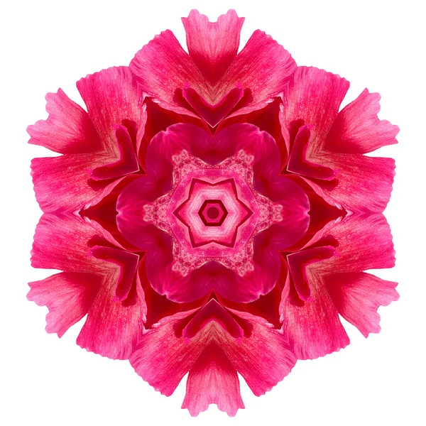 Flower mandala isolated on white background — Stock Photo, Image