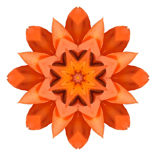 Flower mandala isolated on white background — Stock Photo, Image