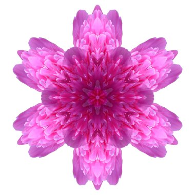 Beyaz arka plan üzerinde izole çiçek mandala