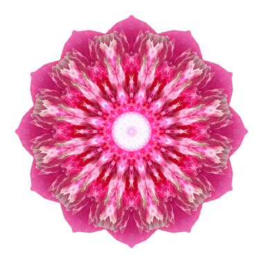 Beyaz arka plan üzerinde izole çiçek mandala