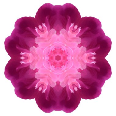 Beyaz arka plan üzerinde izole çiçek mandala