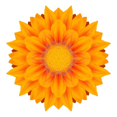 Beyaz arka plan üzerinde izole çiçek mandala