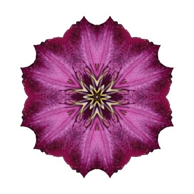 Beyaz arka plan üzerinde izole çiçek mandala