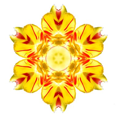 Beyaz arka plan üzerinde izole çiçek mandala
