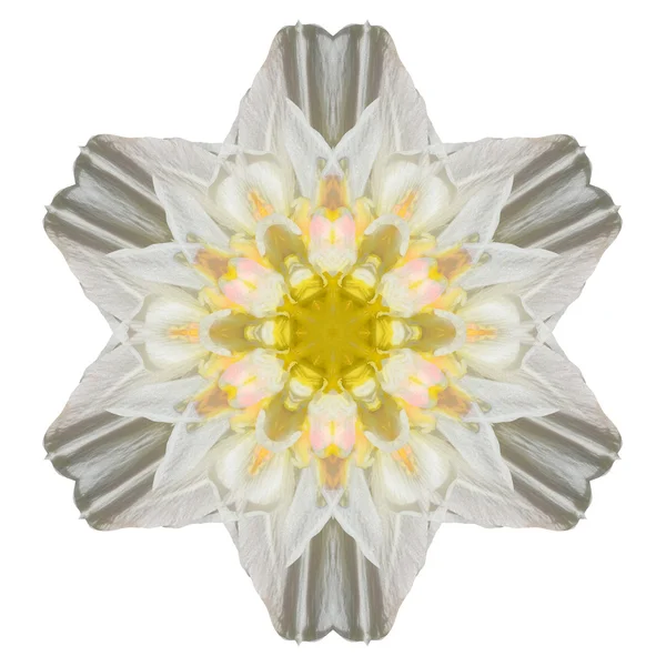 Mandala flor isolada no fundo branco — Fotografia de Stock