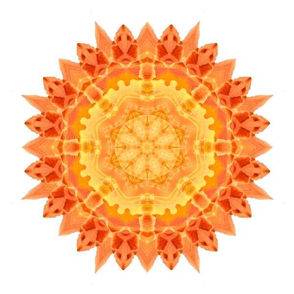 Mandala flor aislada sobre fondo blanco — Foto de Stock