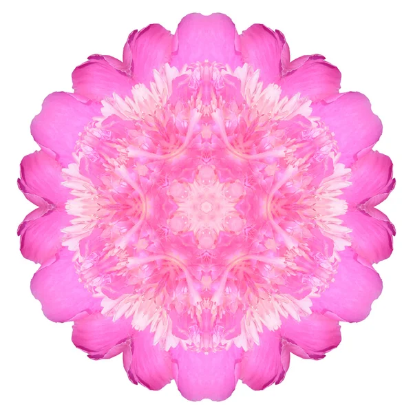 Blume Mandala isoliert auf weißem Hintergrund — Stockfoto