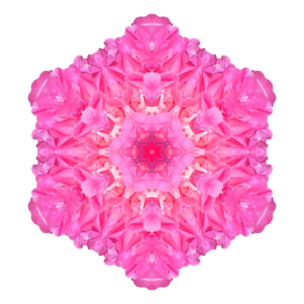 Flower mandala isolated on white background — Stock Photo, Image