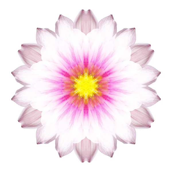 Mandala flor aislada sobre fondo blanco —  Fotos de Stock