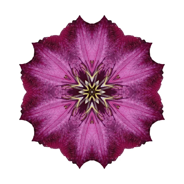 Beyaz arka plan üzerinde izole çiçek mandala