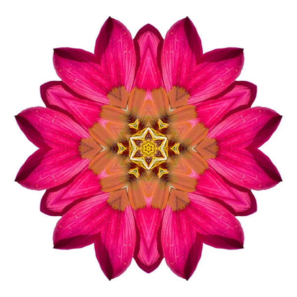 Mandala flor aislada sobre fondo blanco — Foto de Stock