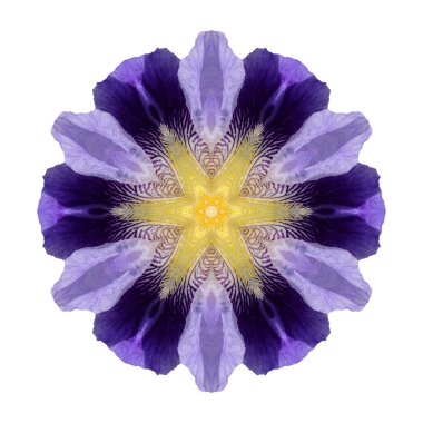 Beyaz arka plan üzerinde izole çiçek mandala