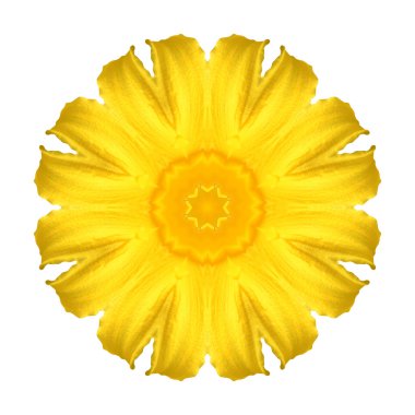 Beyaz arka plan üzerinde izole çiçek mandala