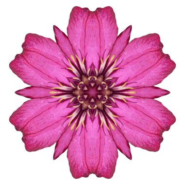 Beyaz arka plan üzerinde izole çiçek mandala