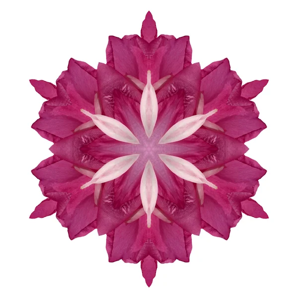 Flower mandala isolated on white background — Stock Photo, Image