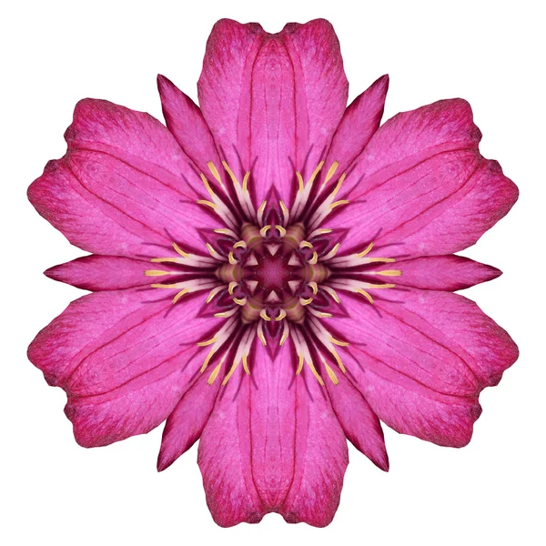 Flower mandala isolated on white background — Stock Photo, Image