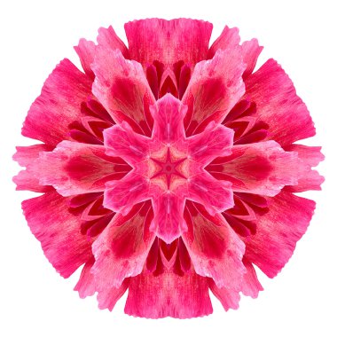 Beyaz arka plan üzerinde izole çiçek mandala