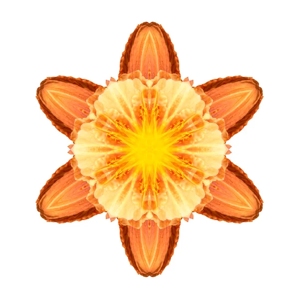 Mandala květinová izolovaných na bílém pozadí — Stock fotografie