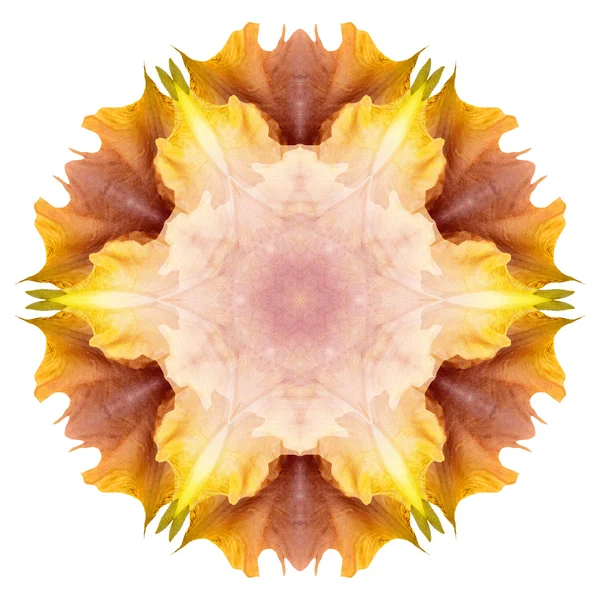 Mandala květinová izolovaných na bílém pozadí — Stock fotografie