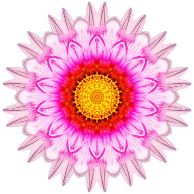 Beyaz arka plan üzerinde izole çiçek mandala