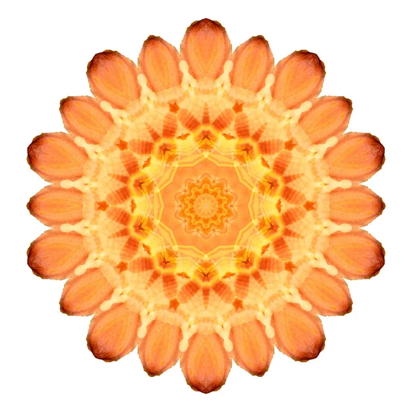 Flower mandala isolated on white background — Stock Photo, Image