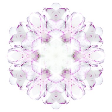 Beyaz arka plan üzerinde izole çiçek mandala