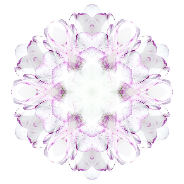 Mandala fiore isolato su sfondo bianco — Foto Stock